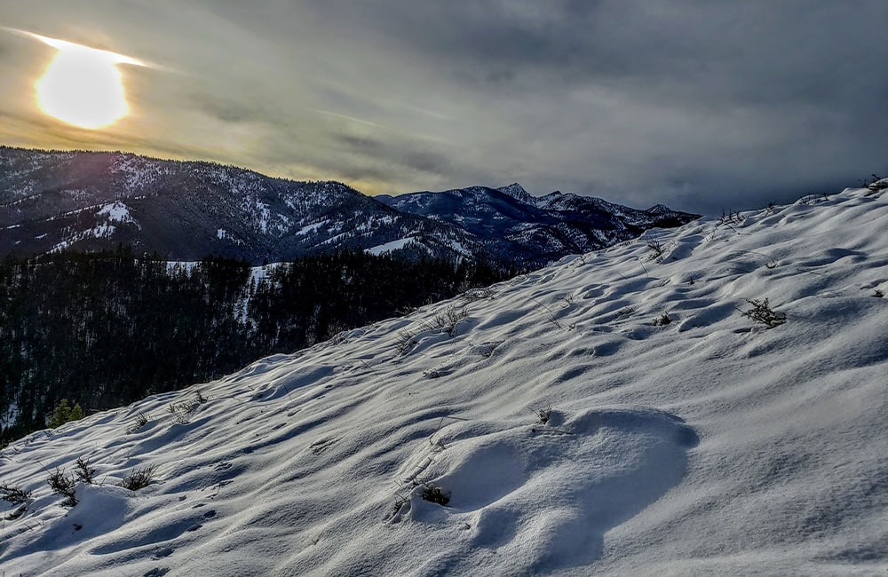 Washington training site