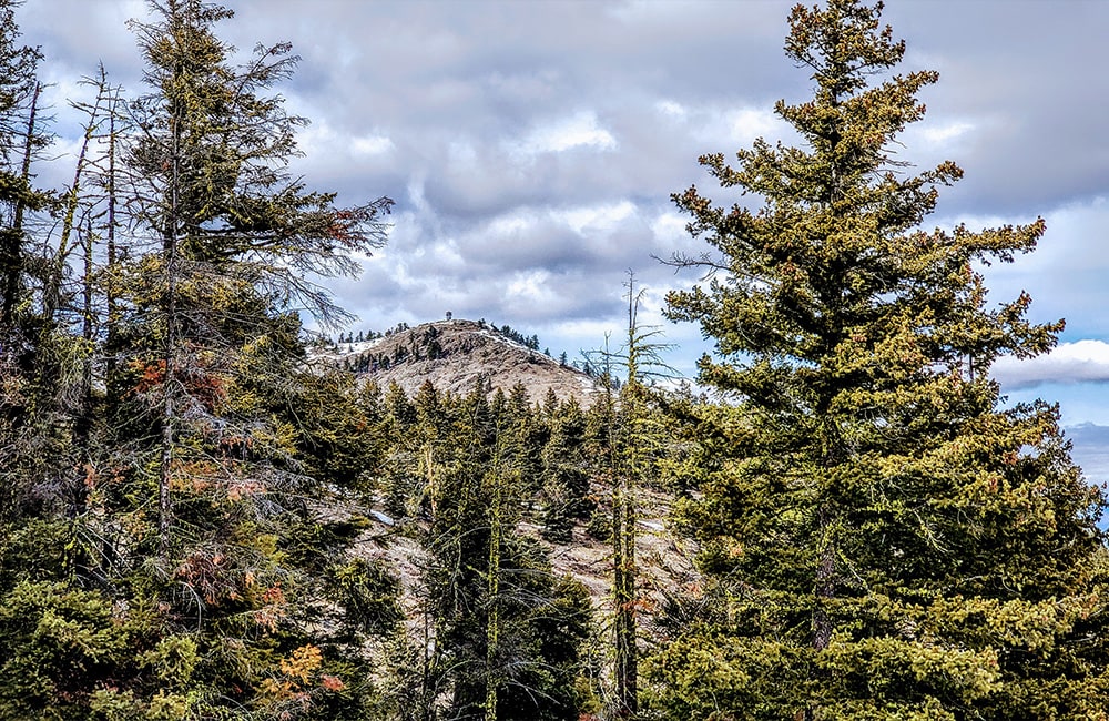 Washington training site